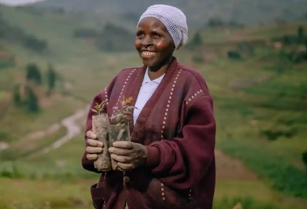 TILOREZA Volcaneos Ecolodge